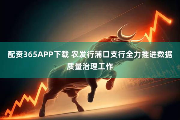 配资365APP下载 农发行浦口支行全力推进数据质量治理工作