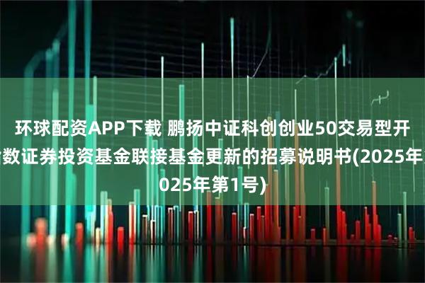 环球配资APP下载 鹏扬中证科创创业50交易型开放式指数证券投资基金联接基金更新的招募说明书(2025年第1号)