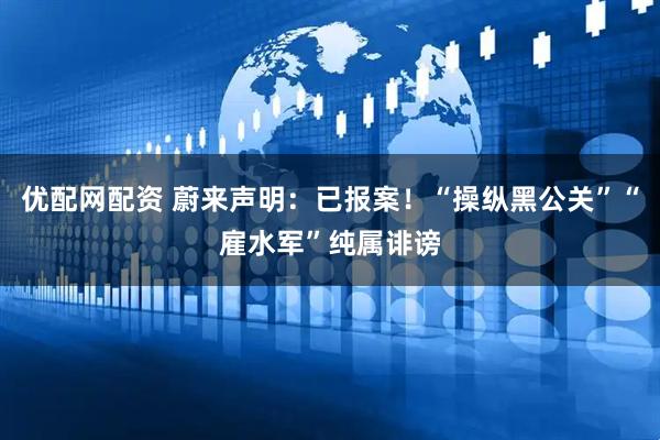 优配网配资 蔚来声明：已报案！“操纵黑公关”“雇水军”纯属诽谤